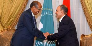 «مصر وتعزيز الأمن في القارة الأفريقية».. ماذا دار في لقاء وزير الخارجية مع رئيس مفوضية الاتحاد الأفريقي؟