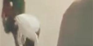 "الغل في الهزار".. شاب يمازح صديقه بعنف ويسقطه فاقد الوعي