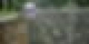 أمطار غزيرة تتعدى 40 ملم عبر هذه الولايات