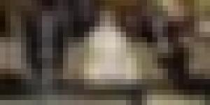 إصدار الدليل الوطني لتحسين الرعاية الصحية للنساء والأطفال وتنصيب شبكة التكفل بالمرأة الحامل