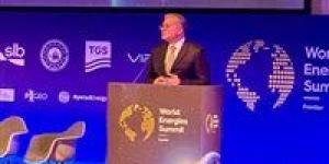 مفاجأة| وزير البترول: مصر تستورد وتصدر الغاز في نفس الوقت