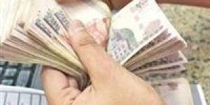 رسميًا.. بدء صرف مرتبات شهر ديسمبر للعاملين بالدولة الأربعاء 24 ديسمبر