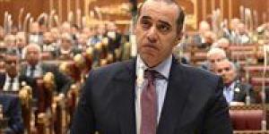 الحكومة ترفض فصل الموظف الذي يقوم بتوصيل الكهرباء بالمخالفة لأحكام القانون.. والوزير فوزي: العقوبة الإدارية سيتم توقيعها بمعرفة الجهة المختصة