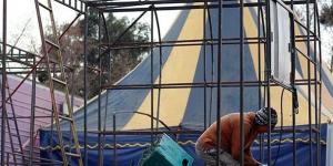 سيرك عائلي فى تشيلي والسون الكوبي بقائمة التراث غير المادى باليونسكو