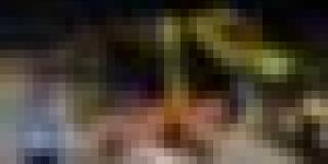 إندونيسيا.. مقتل 15 شخصا وإصابة 19 في حادث مروري بمدينة سمارانج