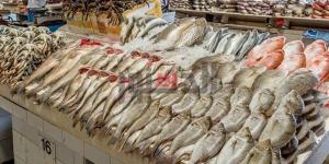 أسعار الأسماك في سوق الأنصاري بالسويس اليوم الإثنين 22 ديسمبر 2025