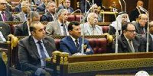 المستشار محمود فوزي بمناقشات قانون نقابة المهن الرياضية: القانون يضع الأطر التنظيمية اللازمة للدراسات المتخصصة لمنع الفوضى.. ولا مجال لغلق باب التطور