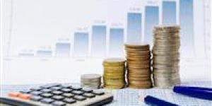 وزير التعاون الدولي الاسبق: بيع الأراضي ليس حلا لأزمة خفض الدين