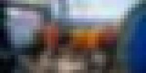 الرئيس تبون يؤكد التزام الدولة بتشجيع الصيادين