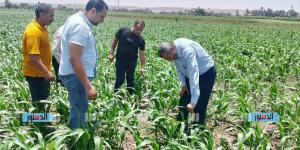 مديرية الزراعة بالجيزة تعلن العمل من المنزل أيام الأحد خلال أبريل 2026