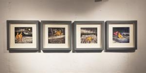 سلمى العشري: "الأفق" في أعمالي عبور بين العوالم المختلفة (حوار)