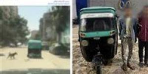 القبض على شخصين لاتهامهما بربط كلب نافق في توك توك من الخلف