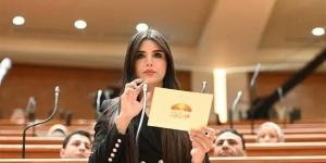 برلمانية: زيادة الأجور والعلاوات تعكس استجابة الدولة للتحديات الاقتصادية