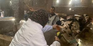 حملات تحصين مكثفة ضد مرضي الجلد العقدي للأبقار وجدري الأغنام