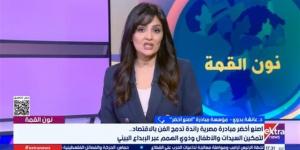 مبادرة "إصنع أخضر".. تحويل المخلفات إلى فن وحياة جديدة (فيديو)