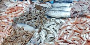 البلطي بـ80 جنيهًا.. أسعار الأسماك والمأكولات البحرية في الإسكندرية اليوم الأحد