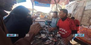 محافظ كفرالشيخ يطلق مبادرة "معًا ضد الغلاء" لبيع الأسماك بأسعار مخفضة