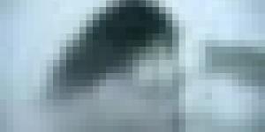 رياح قوية على هذه الولايات