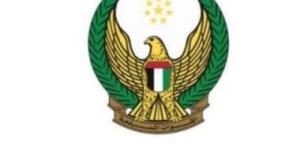 الدفاعات الجوية الإماراتية تتعامل مع تهديد صاروخى