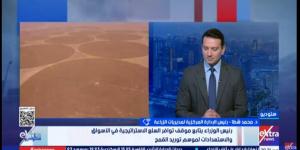 محمد شطا: لدينا خطة لتعظيم الاستفادة من الإنتاج المحلي للقمح