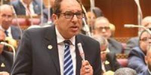 الخولي يشيد بقانون حماية المنافسة: يعيد بناء المنظومة ويحقق اتساقًا تشريعيًا كبيرًا