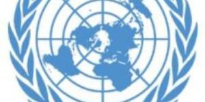 مسؤول أممى: الإجراءات المتعلقة بالألغام تهيئ ظروفا أكثر أمانا للعمليات الإنسانية فى غزة