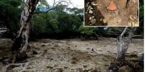 علماء يوثقون جزيرة فى المحيط الهادئ تشكلت من بقايا طعام البشر منذ ألف عام