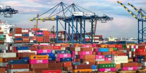 تعديلات سجل المستوردين 2026.. شروط القيد والتصالح في الجرائم بالتفصيل