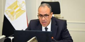 «متابعة أوضاع أبناء الوطن».. وزير الخارجية يشارك فى الاجتماع الافتراضي مع الجالية المصرية بالأردن