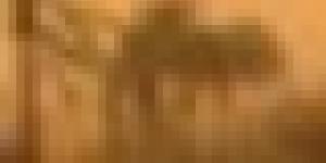 رياح قوية وزوابع رملية في هذه الولايات اليوم