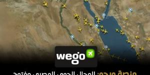"ويجو": المجال الجوي المصري مفتوح بالكامل وأصبح ممرًا مهما للرحلات