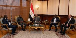 وزير الدولة للإنتاج الحربي يستقبل وفد رفيع المستوى من جمهورية أفريقيا الوسطى