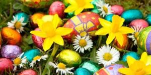 إجازة شم النسيم 2026 في مصر.. الموعد الرسمي للعاملين بالقطاعين العام والخاص