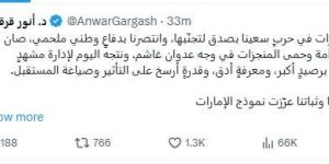 قرقاش: الإمارات انتصرت في الحرب وتتجه للتعامل مع مشهد إقليمي معقد