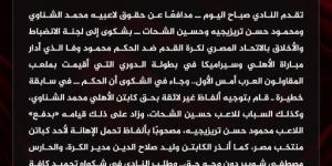الأهلى يشكو وفا للجنة الانضباط بسبب تعديه على الشناوى وتريزيجيه والشحات