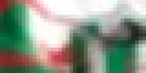 انتخابات: الإعفاء من شرط تمثيل النساء لتشكيل قائمة المترشحين للانتخابات