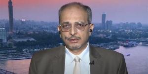 أبو شامة: القاهرة حجر الزاوية في ضبط الاستقرار الإقليمي