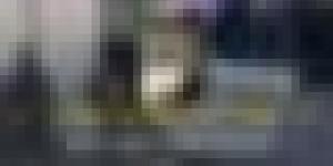 قالمة : توقيف المتورطين في سرقة أموال من مؤسسة بنكية واسترجاع قرابة 14 مليار سنتيم