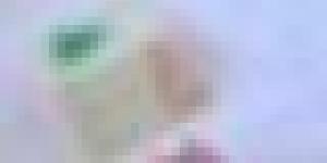 انطلاق عملية المراجعة الاستثنائية للقوائم الانتخابية