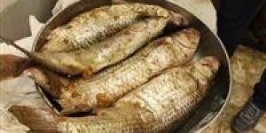 أعراض التسمم الغذائي من الرنجة والفسيخ وطرق الوقاية في شم النسيم