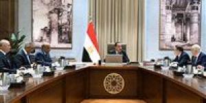 رئيس الوزراء يلتقي المدير العام لـ"روسآتوم" لبحث مستجدات مشروع الضبعة النووية