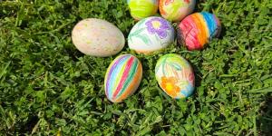 الكل فرحان .. إقبال كبير على حديقة حيوان الزقازيق بمناسبة شم النسيم