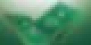 إصدار الإطار القانوني والمؤسسي للوقاية من الفساد ومكافحته في الجزائر