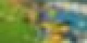 أمن ولاية الجزائر: توقيف 34 شخصا إثر أحداث الشغب التي شهدتها مباراة اتحاد الحراش وجمعية وهران