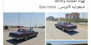 هند سعيد صالح تنفي عرض سيارة والدها للبيع: بلاش استخدام اسمه في الكذب