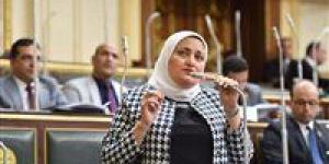 النائبة سناء السعيد تتقدم بسؤال برلماني بشأن تطبيق قرار العدادات الكودية بأثر رجعي