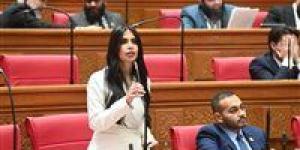 تحرك برلماني بسبب فجوة تطبيق التيسيرات الجمركية لنظام الترانزيت وتأثيرها على بيئة الأعمال