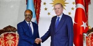 رئيس الصومال يبحث مع نظيره التركي في إسطنبول سبل تعزيز العلاقات بين البلدين