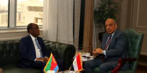 الكهرباء: دعم خطة التنمية المستدامة فى اريتريا وبرامج تدريبية لنقل الخبرات والدعم الفني