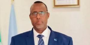 الصومال يرحب بالرفض العربى لتعيين مبعوث إسرائيلى فيما يسمى «أرض الصومال»